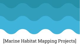 Mapping of Posidonia oceanica in Zakinthos Isl.